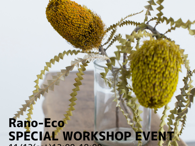 Rano-Eco SPECIAL WORKSHOP EVENT