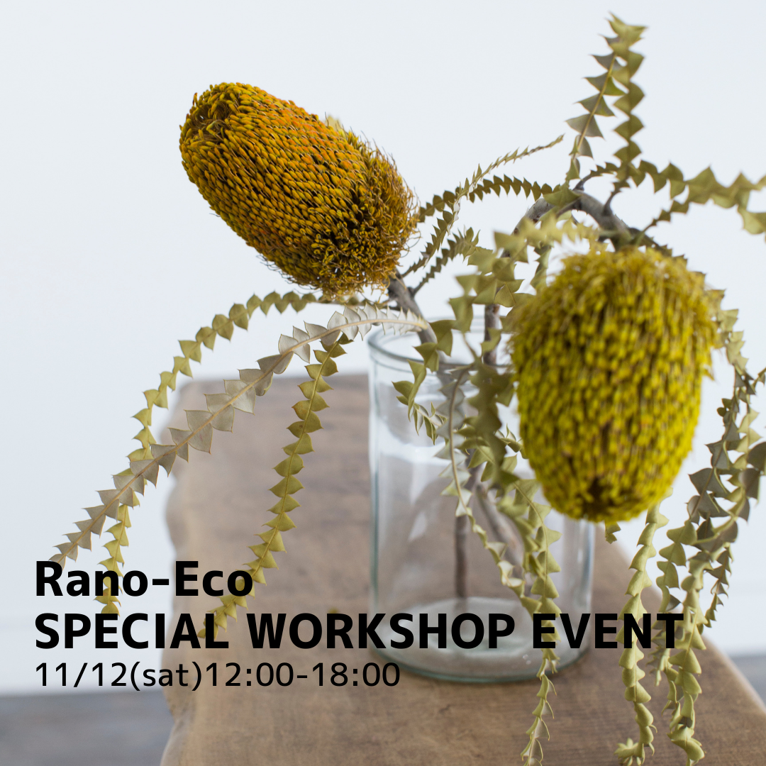 Rano-Eco SPECIAL WORKSHOP EVENT