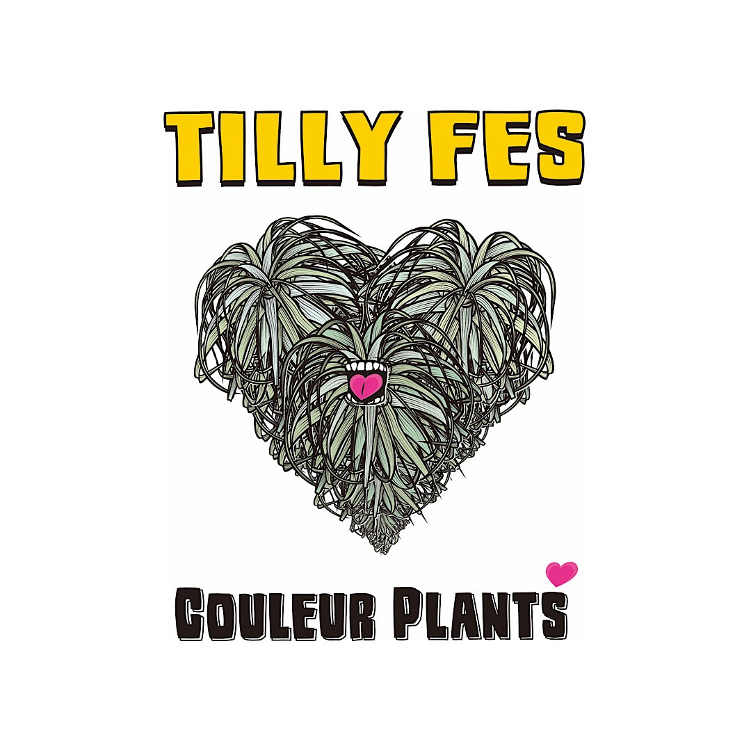 Couleur Plants [TILLY FES]