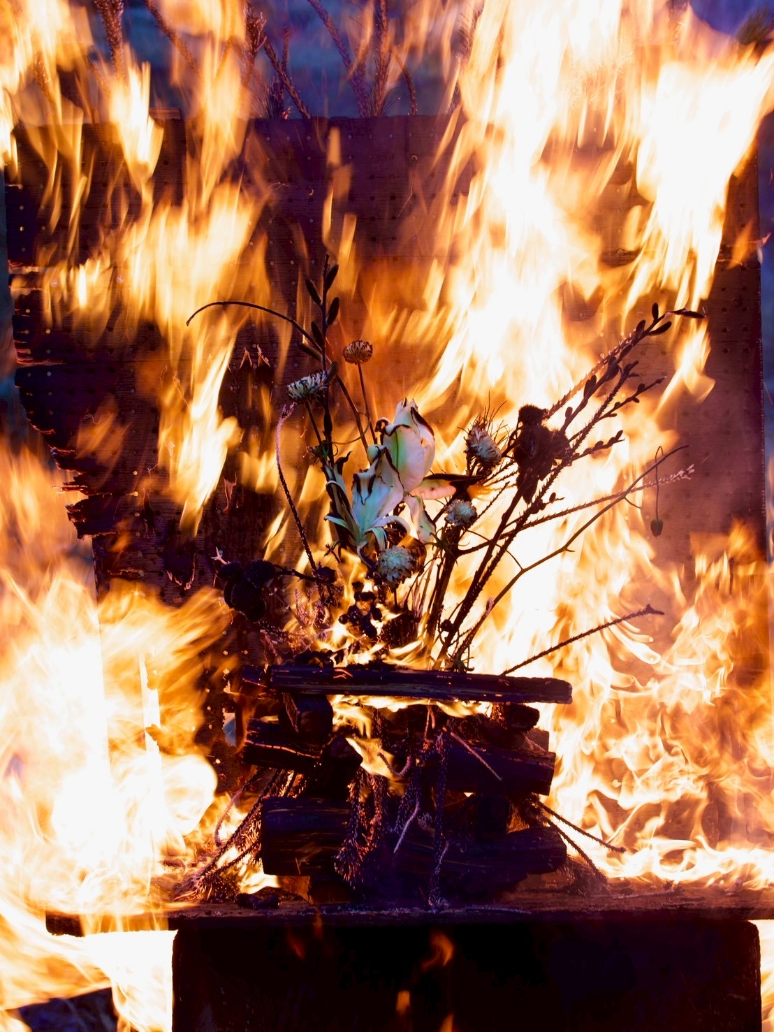 hanadorobou 202601_1