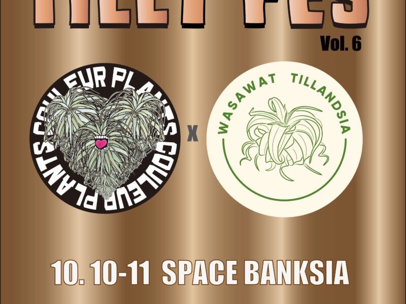 [TILLY FES] vol.6